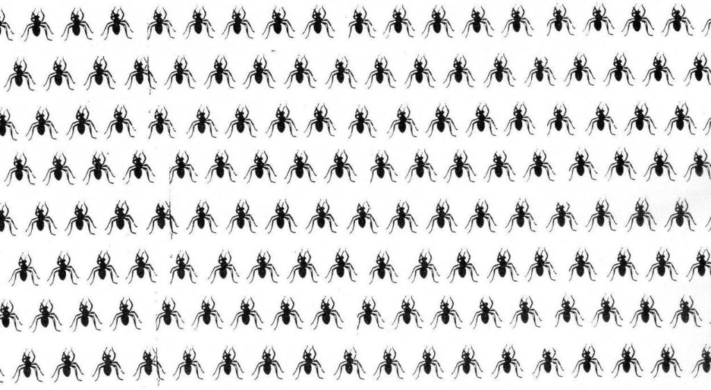 Filmstill – Sven Taddicken: 